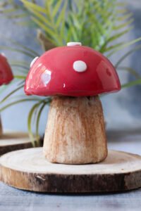 trompe-l'oeil-champignon